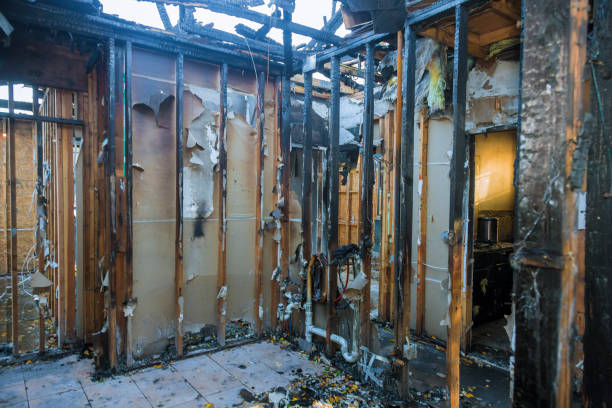 Professional Fire Damage Assessment technician working in Earlysville, VA